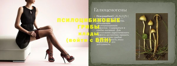 МДПВ Армянск