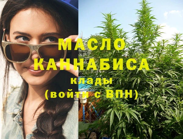 гидра Саяногорск
