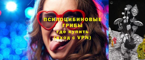 МДПВ Армянск