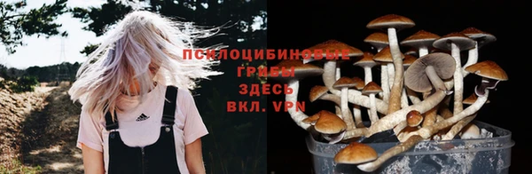 ешки Алексеевка